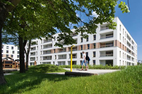 Kolska od Nowa zakończona przed czasem