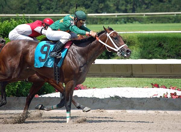 Totalizator Sportowy poszukuje inwestorów. Na Służewcu może wyrosnąć hotel albo biurowiec
