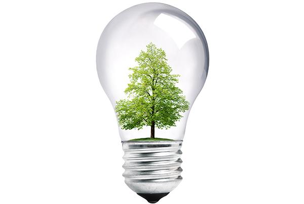 Polacy akceptują koszty zmian klimatycznych, ale…