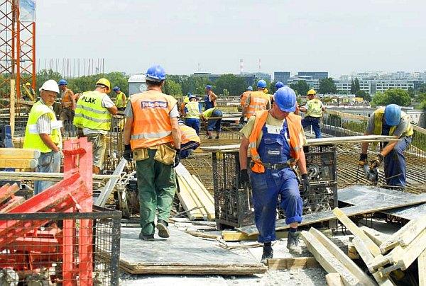 Wiecha na GreenWings Offices