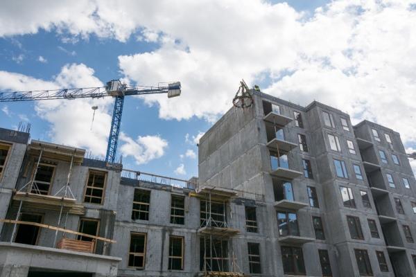 Nowa Motława z wiechą