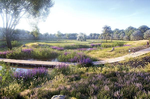 Jest wykonawca modernizacji Pola Mokotowskiego