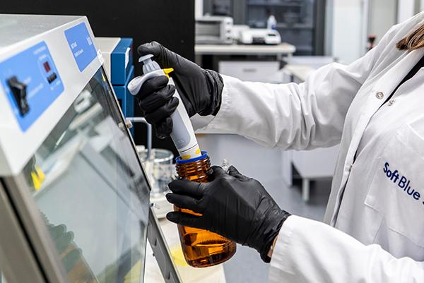 Wkrótce wystartuje budowa centrum badawczego SoftBlue