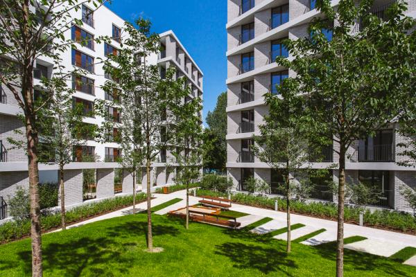 Moko zakończone, powstanie jeszcze miejski plac