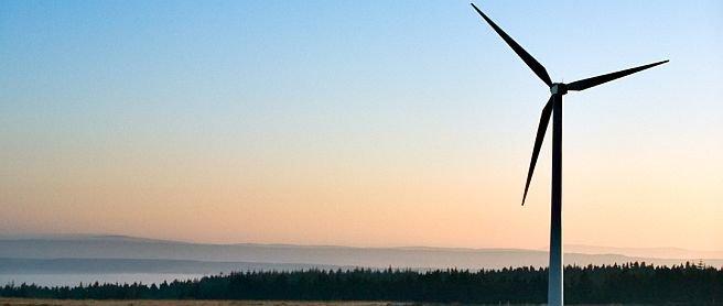 Żyjmy bez grzechu ekologicznego