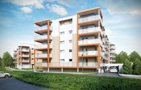 Starołęcka Dolina na półmetku