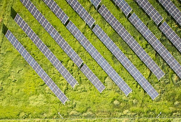 Segro przechodzi na zieloną energię