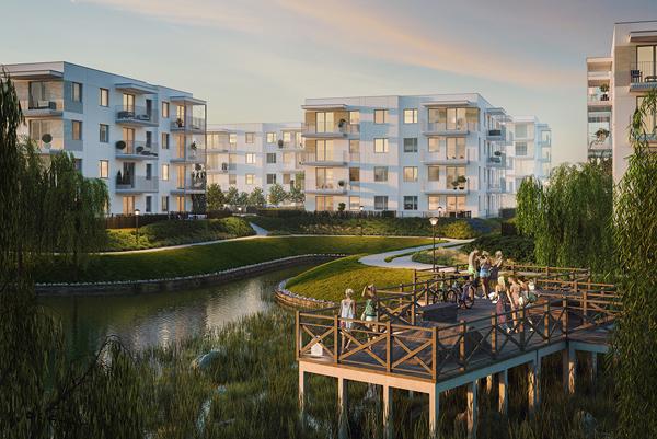 Zielony Południk po raz trzeci