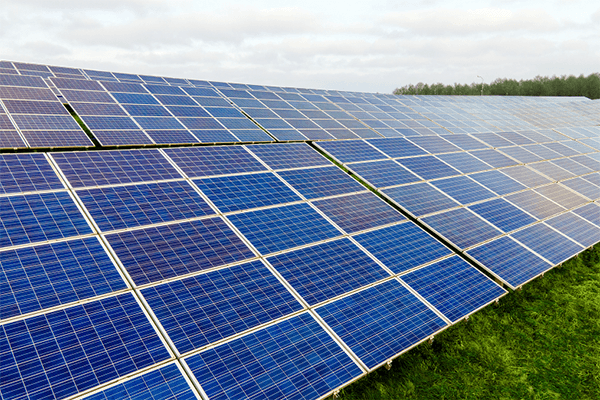 Kajima i Griffin Real Estate inwestują w OZE