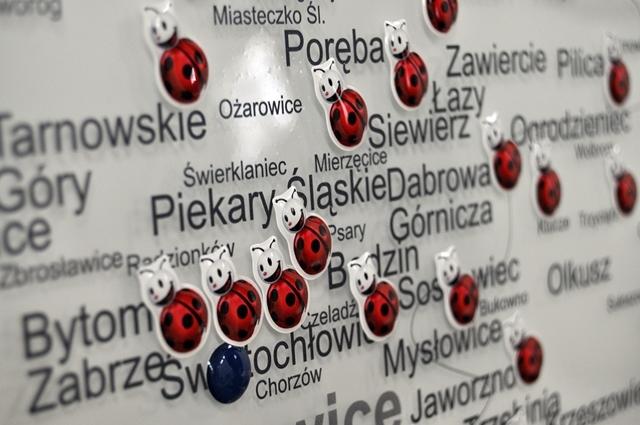 Identyfikacja wizualna wyeksponowana na szkle