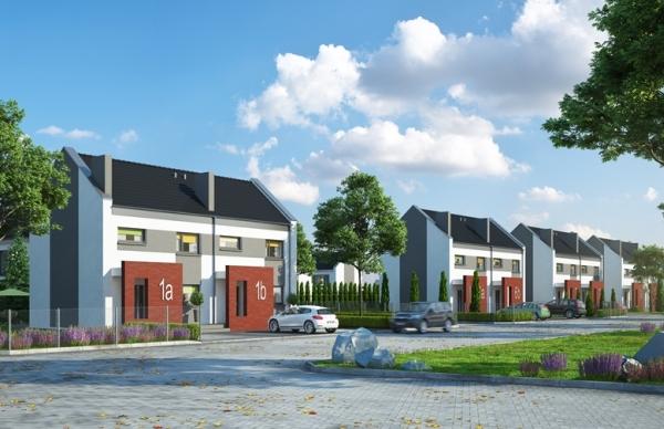 W Zielonych Rabowicach rosną bliźniaki